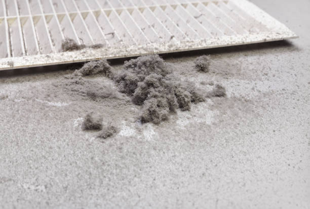 Best Commercial Air Duct Cleaning  in Noblesville, IN