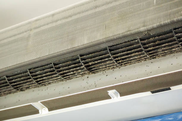 Best Emergency Air Duct Cleaning  in Noblesville, IN