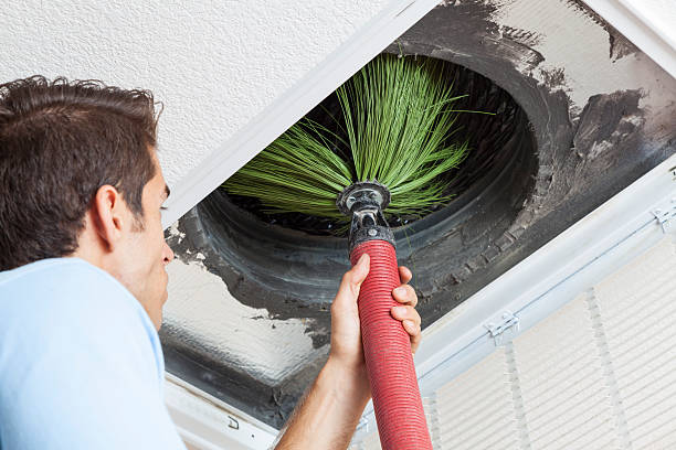 Best Professional Duct Cleaning Services  in Noblesville, IN